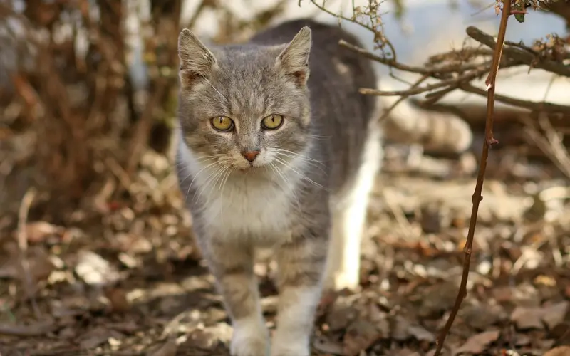 挽回女友：分开多年彼此不信任，还要必要复合吗？