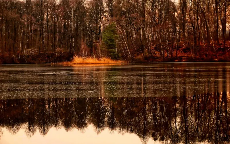 挽回老公的心，女人要明白的这四个挽回守则！