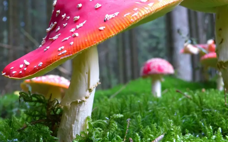 挽回爱人，你知道他的弱点在哪里吗？