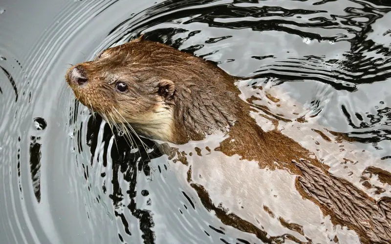 今天的天气，适合讲真话