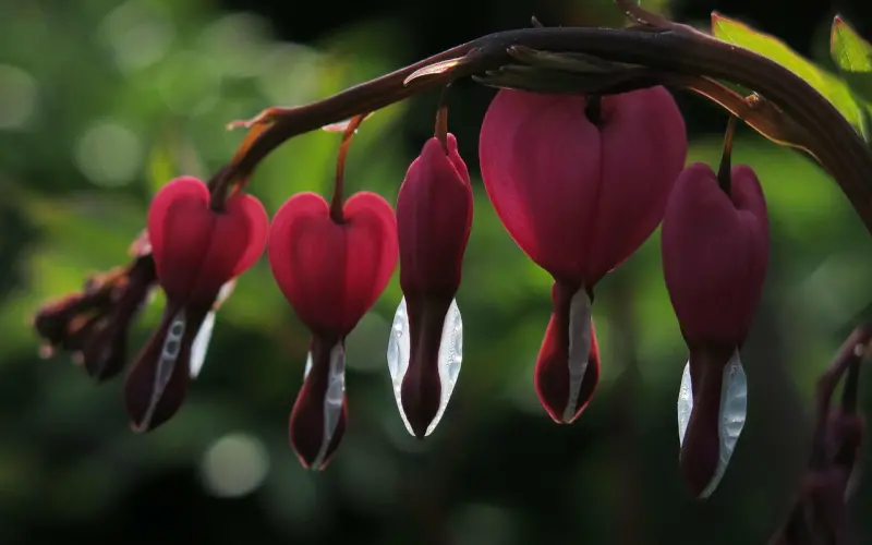 心软太过是放任，宽容太过是纵容