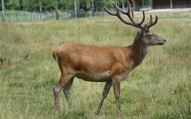 顶级干货：学会这样和男生说话，让他更懂得珍惜你的付出
