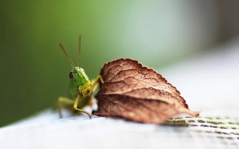 话题 | 在我所有的原创理论里面，哪部分最让你印象深刻？