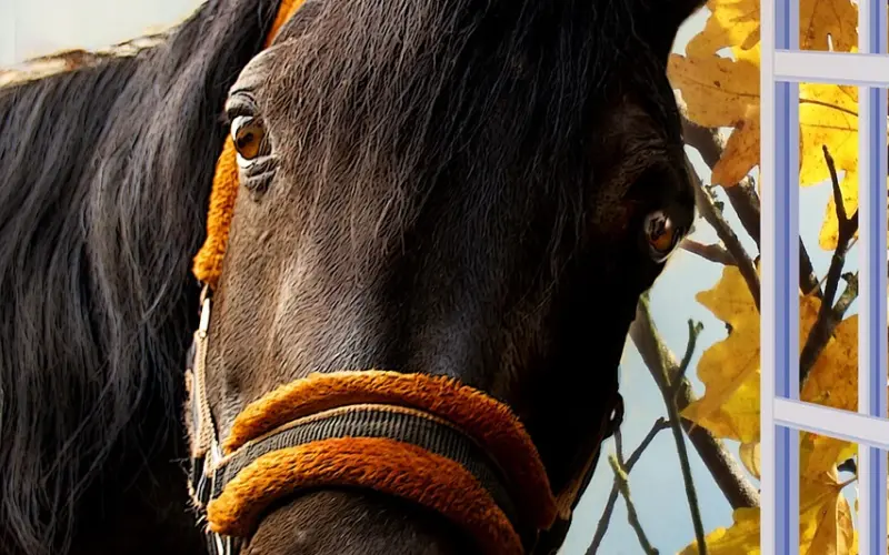 话题 | 在一段不成熟的恋爱关系中，你有没有得到过什么经验教训？