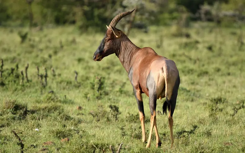话题 | 关于姐弟恋你们怎么看？