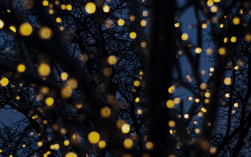 话题 | 劈腿or被劈腿是一种什么样的感受？