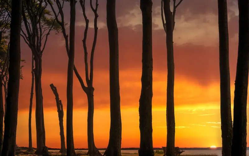 话题 | 为什么越优秀的女生越没人追？