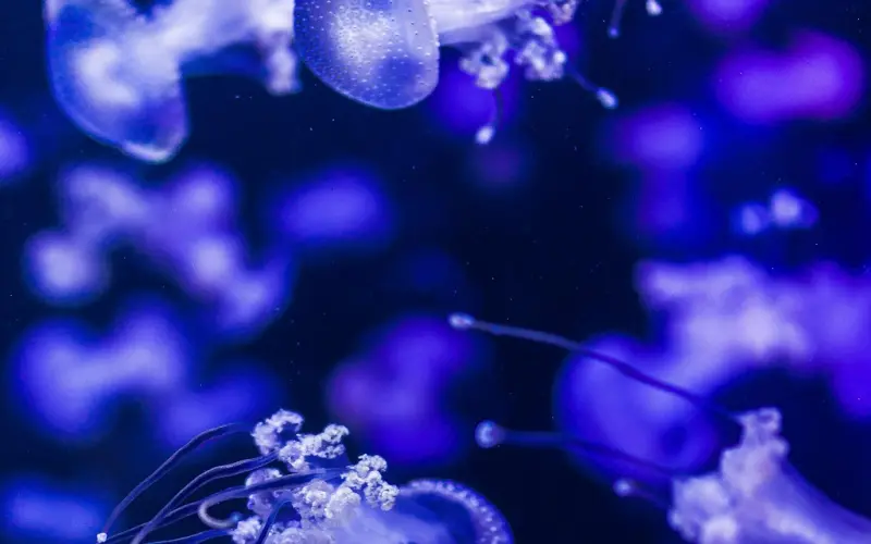 挽留男朋友感人的话语