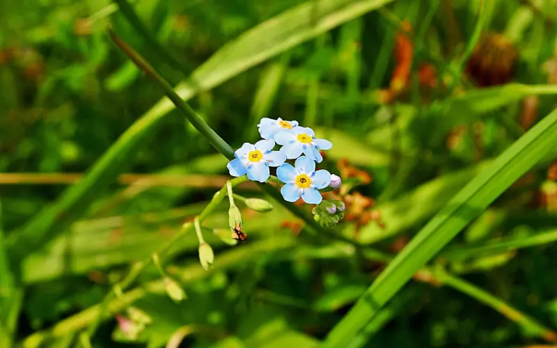 千里迢迢陪睡，他竟然不要我