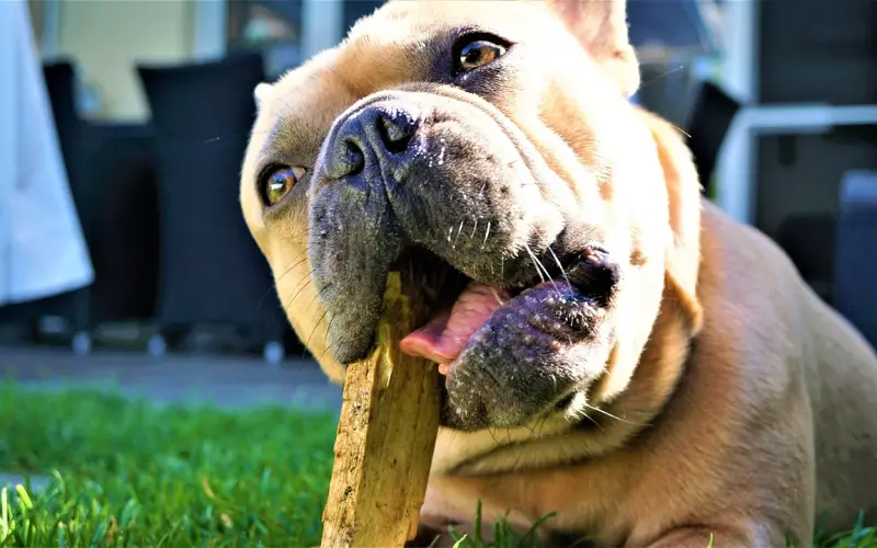 挽回女友攻心术：跟女友分手放不下面子挽回，该怎么做让女友主动回来呢？