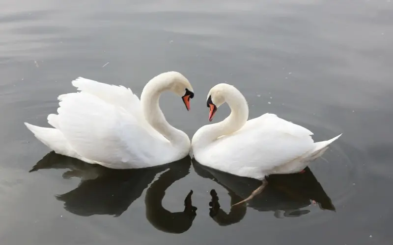 真爱，可靠吗？