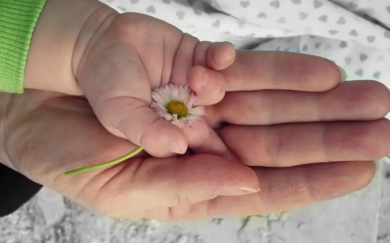 真爱算什么，美貌才是永恒的春药