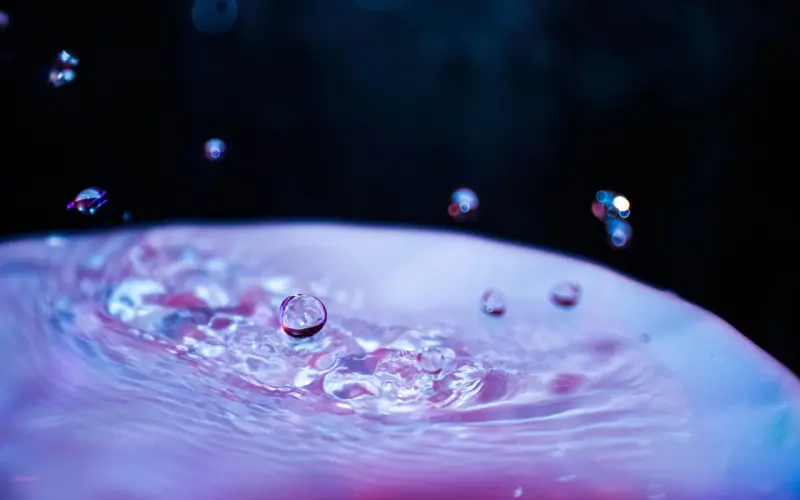 导师答疑/我有特殊的探探收号技巧