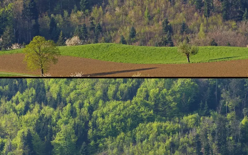 如何挽回男友系列教程：分手后前男友想要和你复合的根本原因深度解答（2） ...