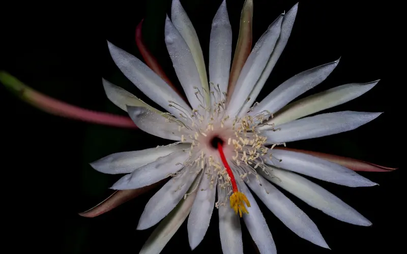 爱情十二夜，你在哪一夜 ?