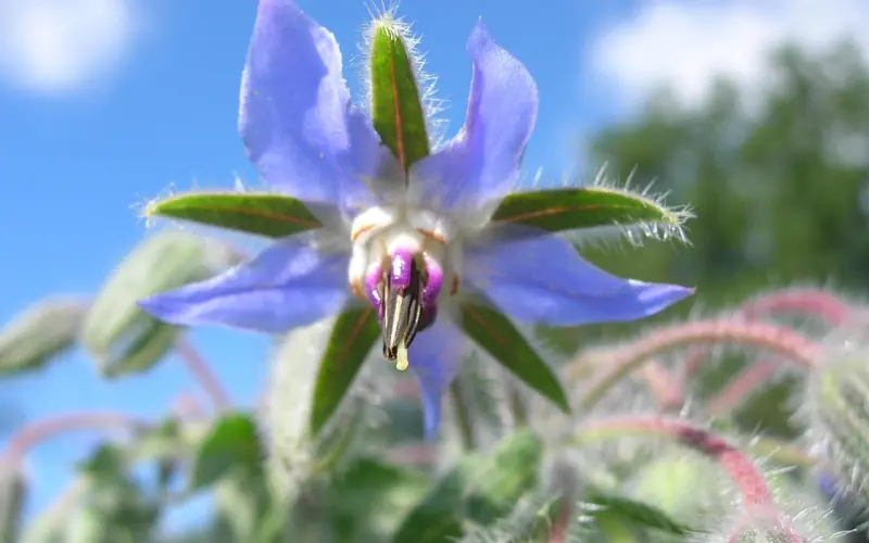 两个人彼此深爱，但都已经有了各自的家庭，做好这两点即可