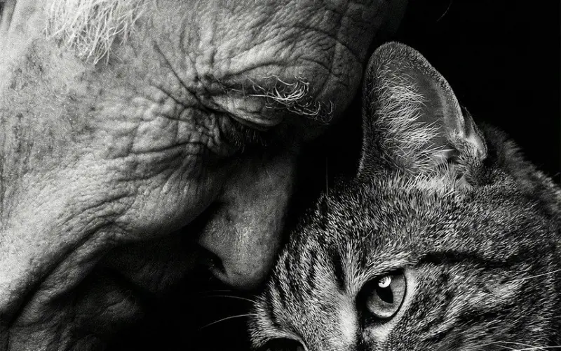 有了家庭的两个人，相爱却不能在一起，聪明女人会这样做