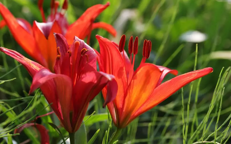读懂女人心，挽回再也不成问题