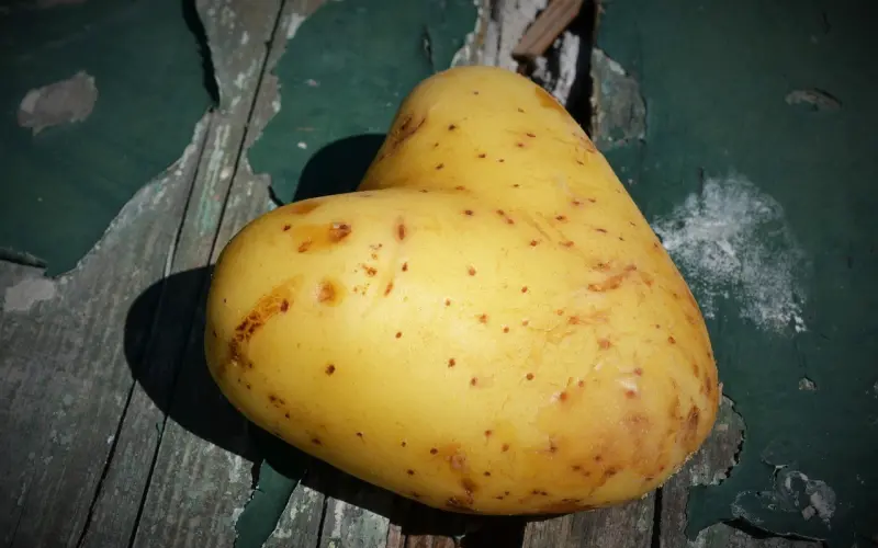 弄懂女人的思维让你喜欢的女生喜欢上你