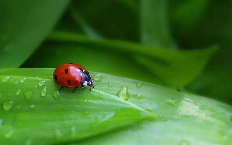 懂得这些差异，能让你在婚恋中更加游刃有余