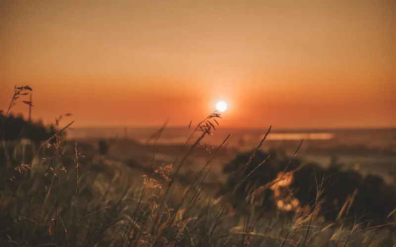 爱情潜规则，你中了几条？