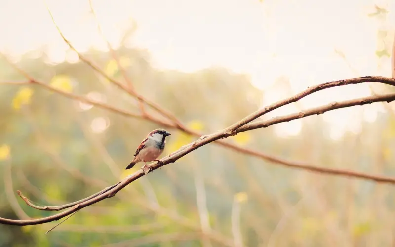急！性在关系中意味着什么？