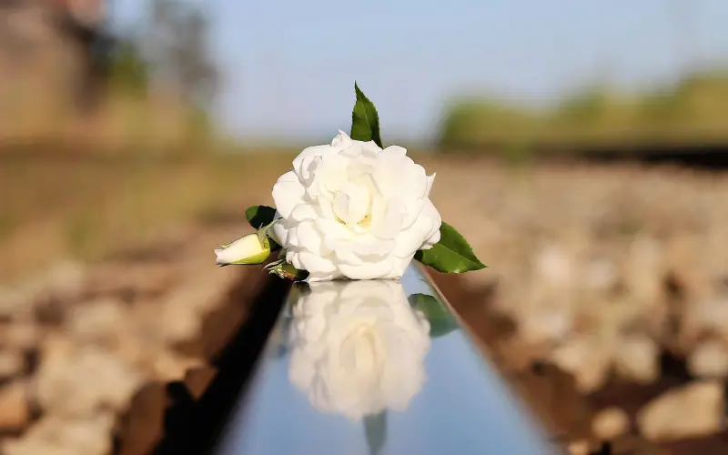 催婚还是催“昏”？为什么他们比你还急