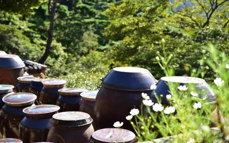 超好爆好的句子：句句经典，当你撑不下去，迷茫的时候就读一遍！