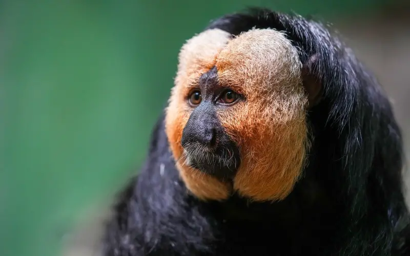 非常走心的伤感心情短句，撕心裂肺的挽留，让心好累