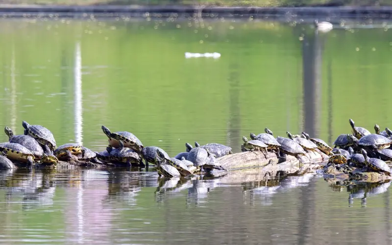 朋友圈非常走心的哲理心情短语 每一句都入心入肺