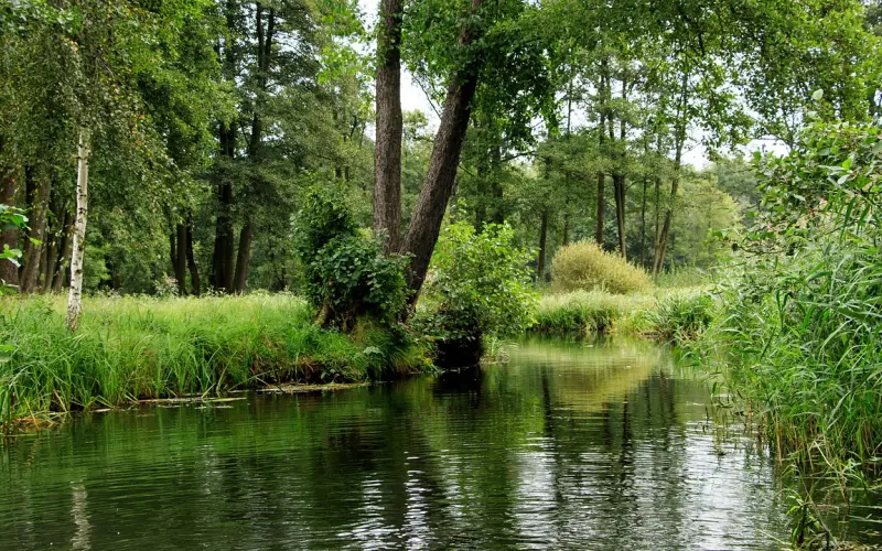 非常伤感的心情句子，挑一句喜欢的发朋友圈吧！