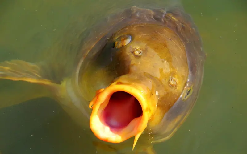 醒醒！别再和这样的男人谈恋爱了！
