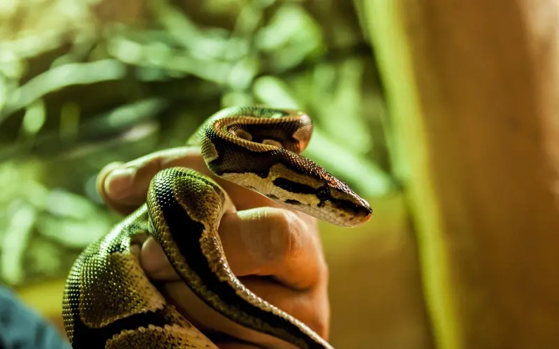 醒醒吧！伪佛系正在扼杀你的爱......