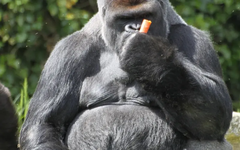 误入友谊区，结果却令人惊讶！