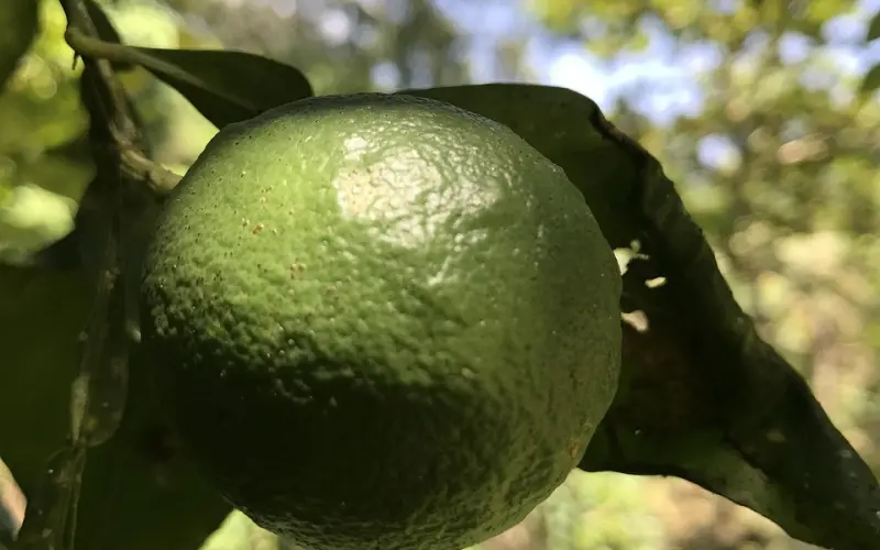 王菊：做自己的女人，到底有多爽