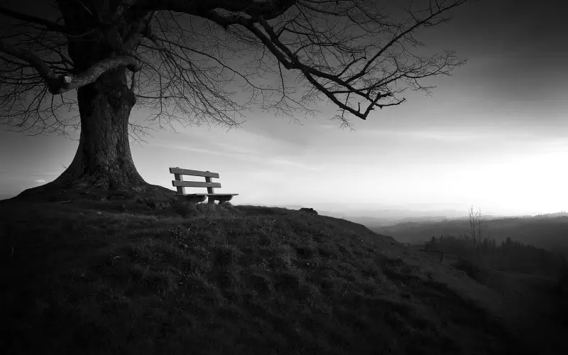 想成为女神？你和她们只差这一步