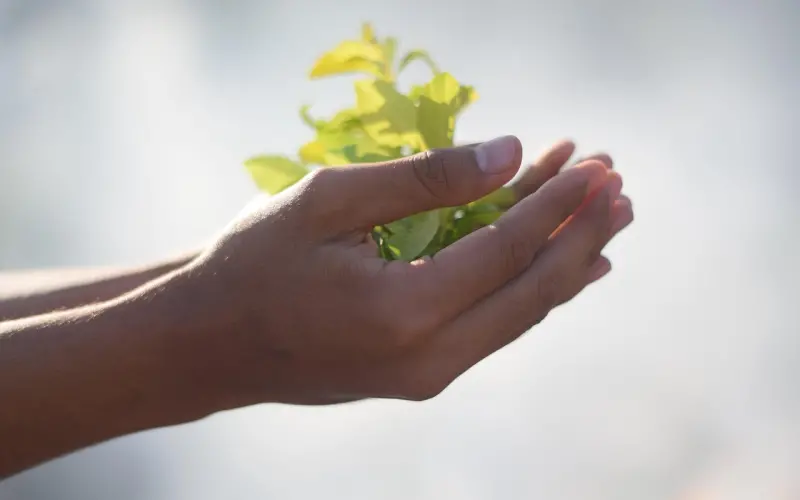 想要尽快和女生约会？你需要这3招