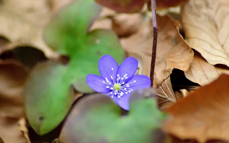 想在现实中获得爱情？你首先要具备这3点！