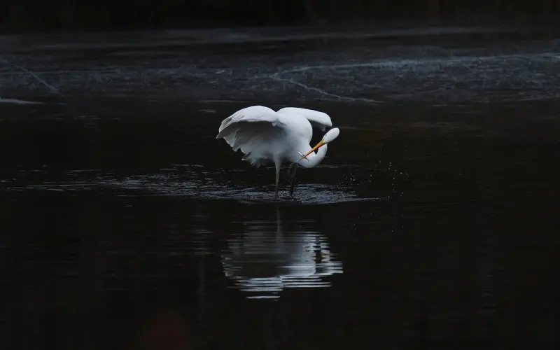 想提升恋爱质量?也许你要跟Les学一学。