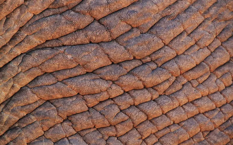 想要挽回？那你朋友圈的内容就需要注意4点，他可能不想看见