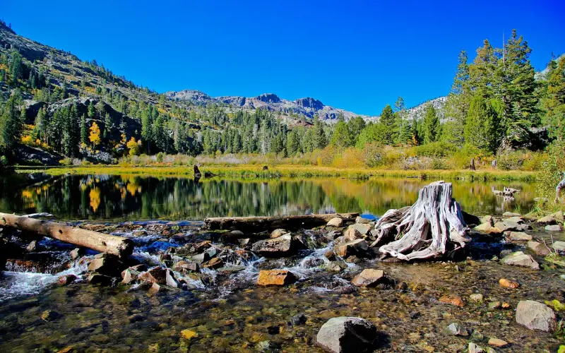 对那晚终身难忘的第一次，因为太羞耻还是太爱她？