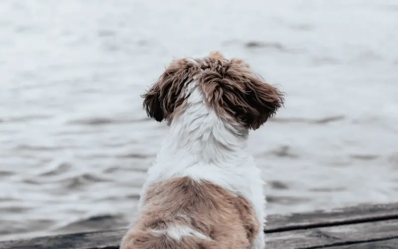 看高段位小三如何逼疯原配，让男人爱之入骨！