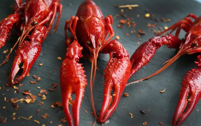 冷眼观爱微信版010【你想把女人煮来吃，还是养给别人吃？】