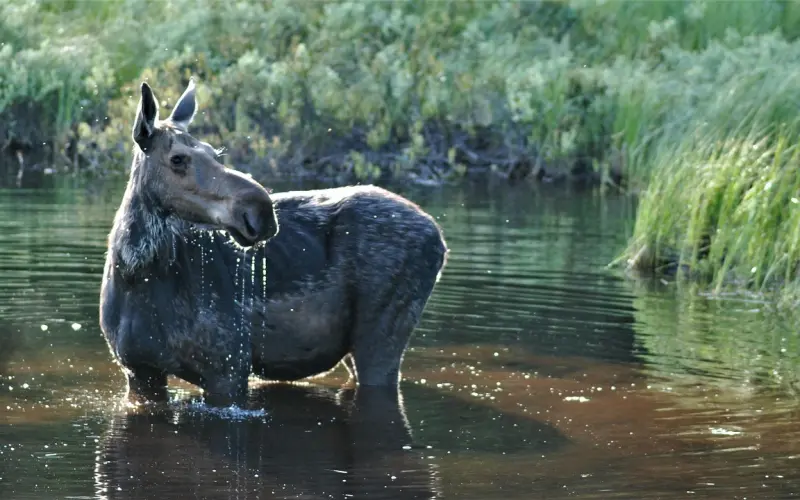 冷眼观爱微信版007【我也有温柔的一面】