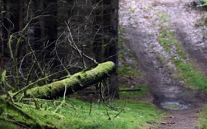 不同情况下的挽回爱情方法