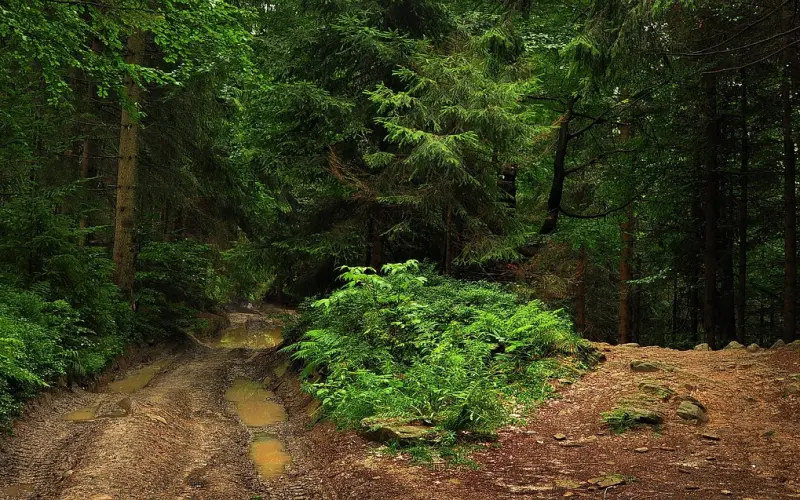 挽回女友的方法，切忌滥用冷冻