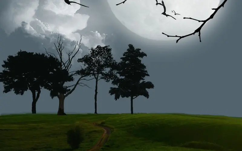 我们三年异地恋，住在一起一个月居然就分手了