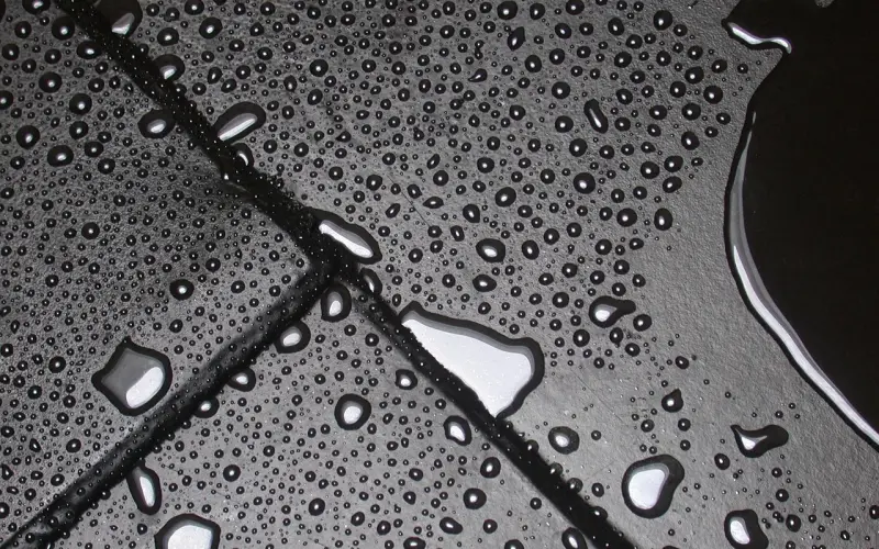 下辈子，都不会再见了