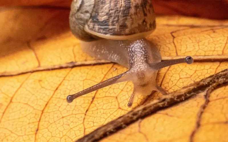 微信朋友圈配文建设，让你只发照片一天约到20个妹子