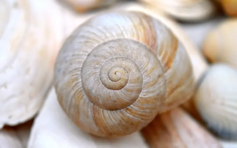 明明认识很久却总觉得不熟？因为你不懂这个道理！